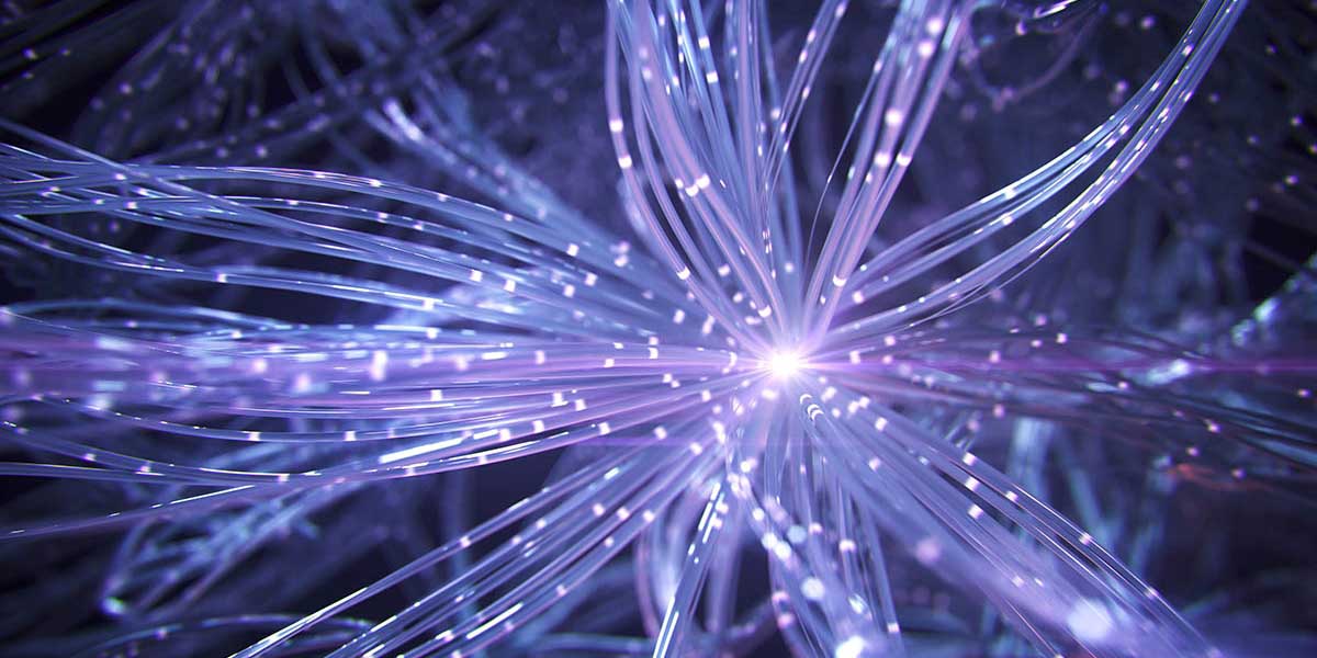 Why magnesium is good for you LivOn Labs