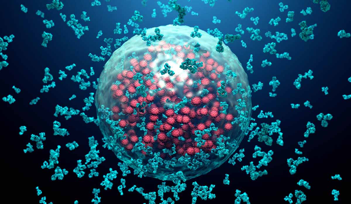 illustration of immune cells fending off viruses