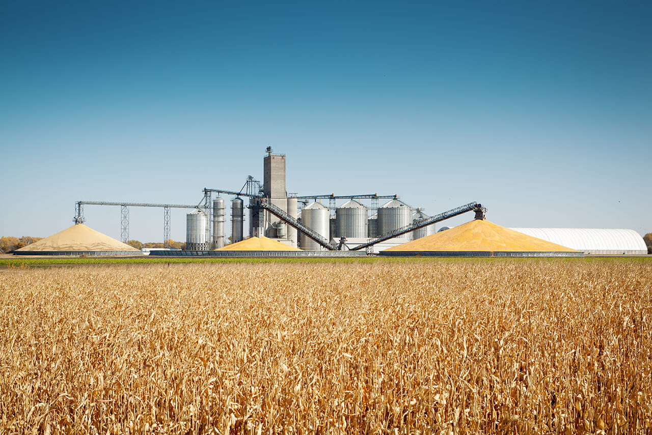 field of wheat with a processing plant