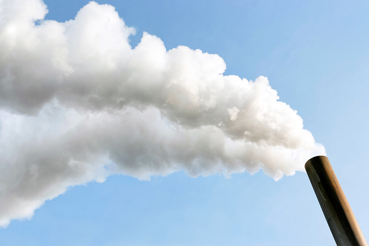 smoke billowing from a chimney, a type of environmental pollutant that can cause free radicals when it gets into your system