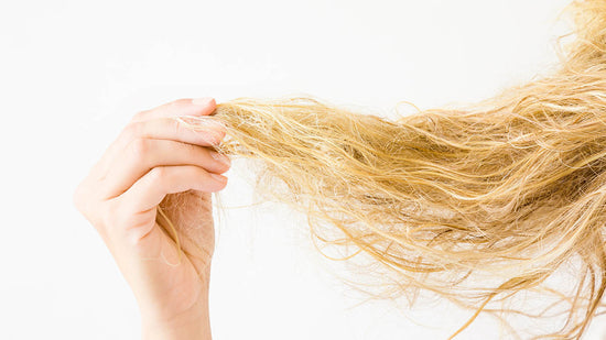 woman's hand holding tangled, dry hair, which is one of the vitamin c deficiency symptoms