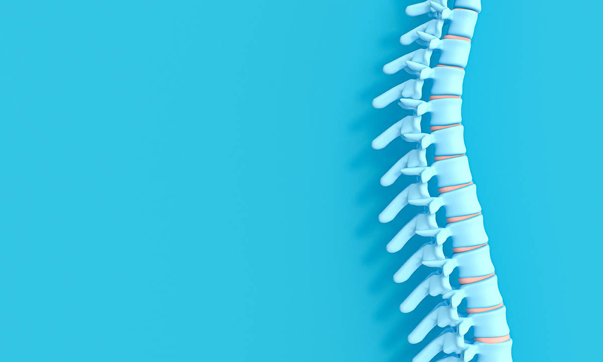 3d render image of a spine, which requires vitamins for healthy bones, on a blue background