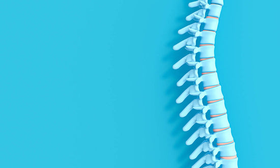 3d render image of a spine, which requires vitamins for healthy bones, on a blue background