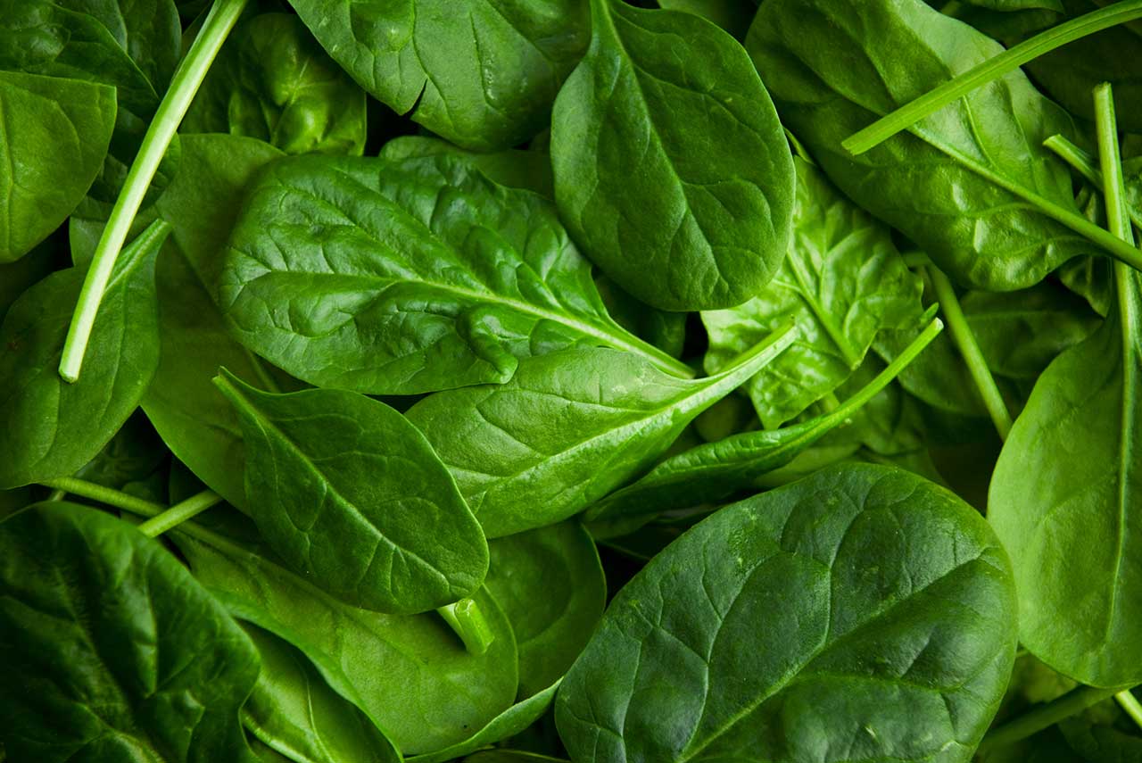 close-up photo of spinach, a glutathione food