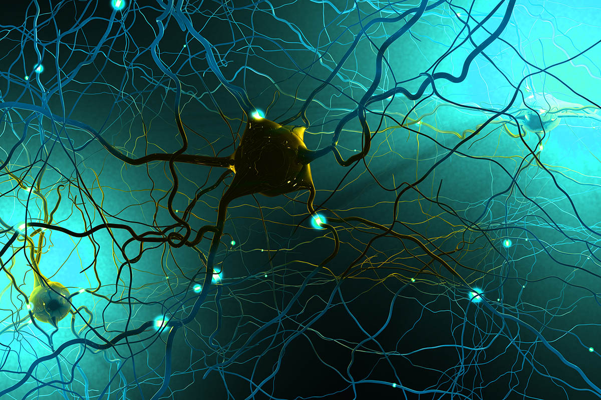 Signal transmitting neurons or nerve cells- 3d illustration