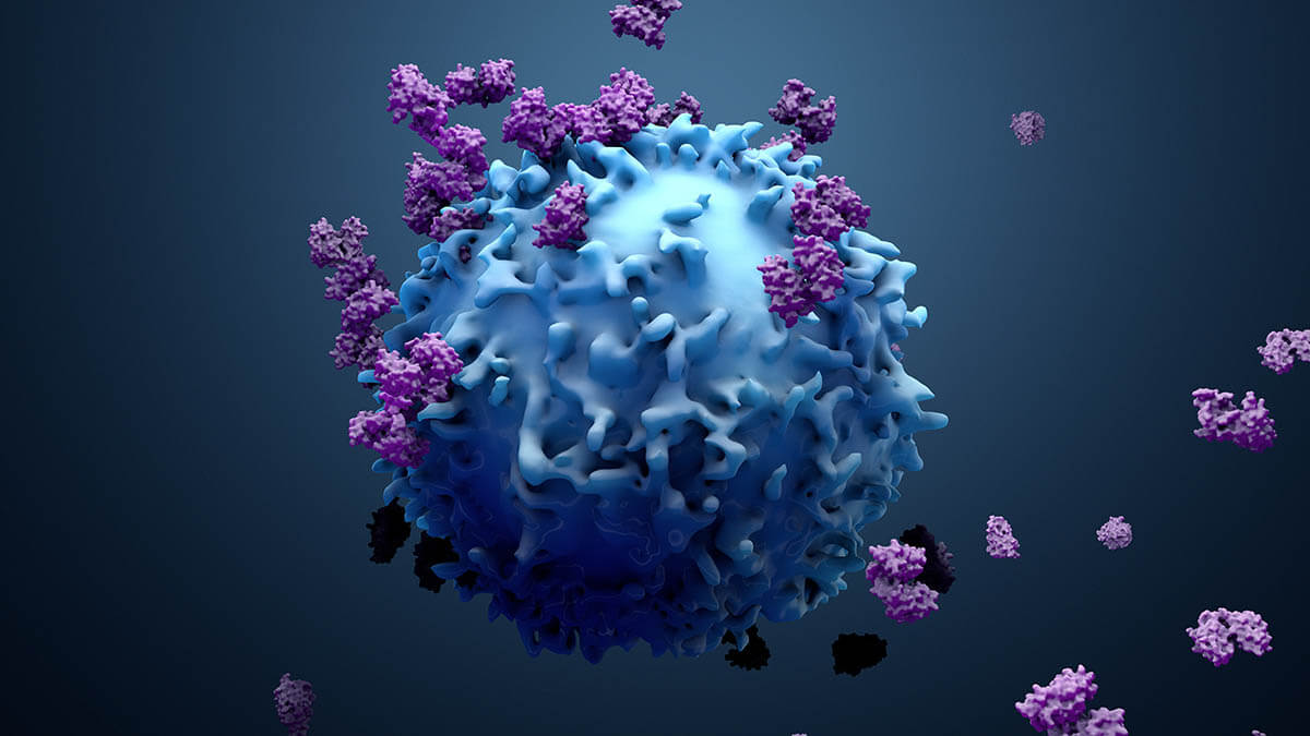 3d illustration of T cells on an infected cells