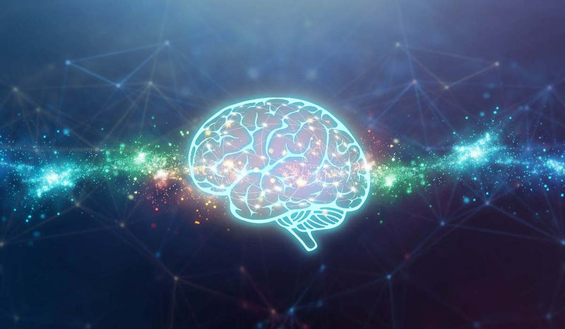 GLUTATHIONE AND THE BRAIN