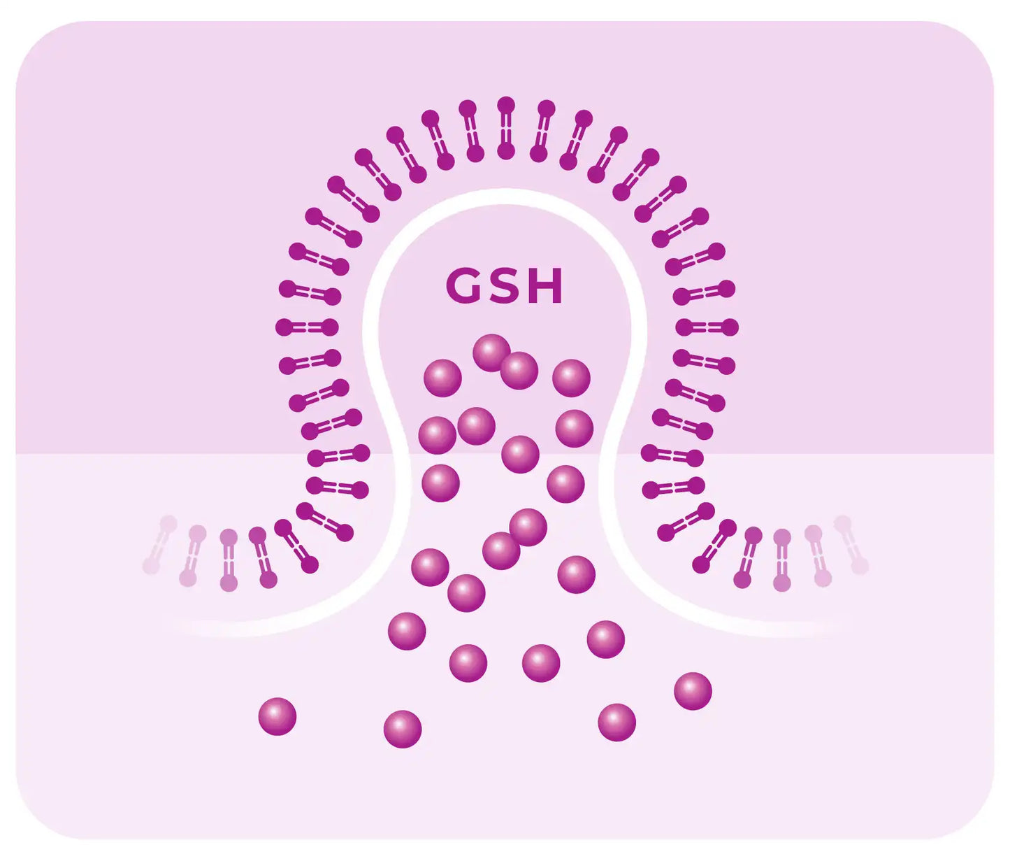lypo spheric gsh glutathione reviews Best Supplement LivOn Laboratories Lypo-Spheric Glutathione :