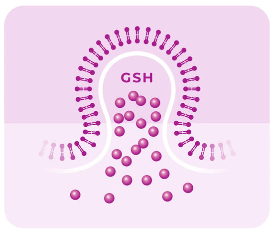 gsh glutathione purchase Gold - Reduced Complex - Made in USA - Formulated for Optimal Absorption 713.} Inadequate amounts of glutathione can also result in tissue oxidative stress Glutathione Reduced (GSH) extrapure, 98%