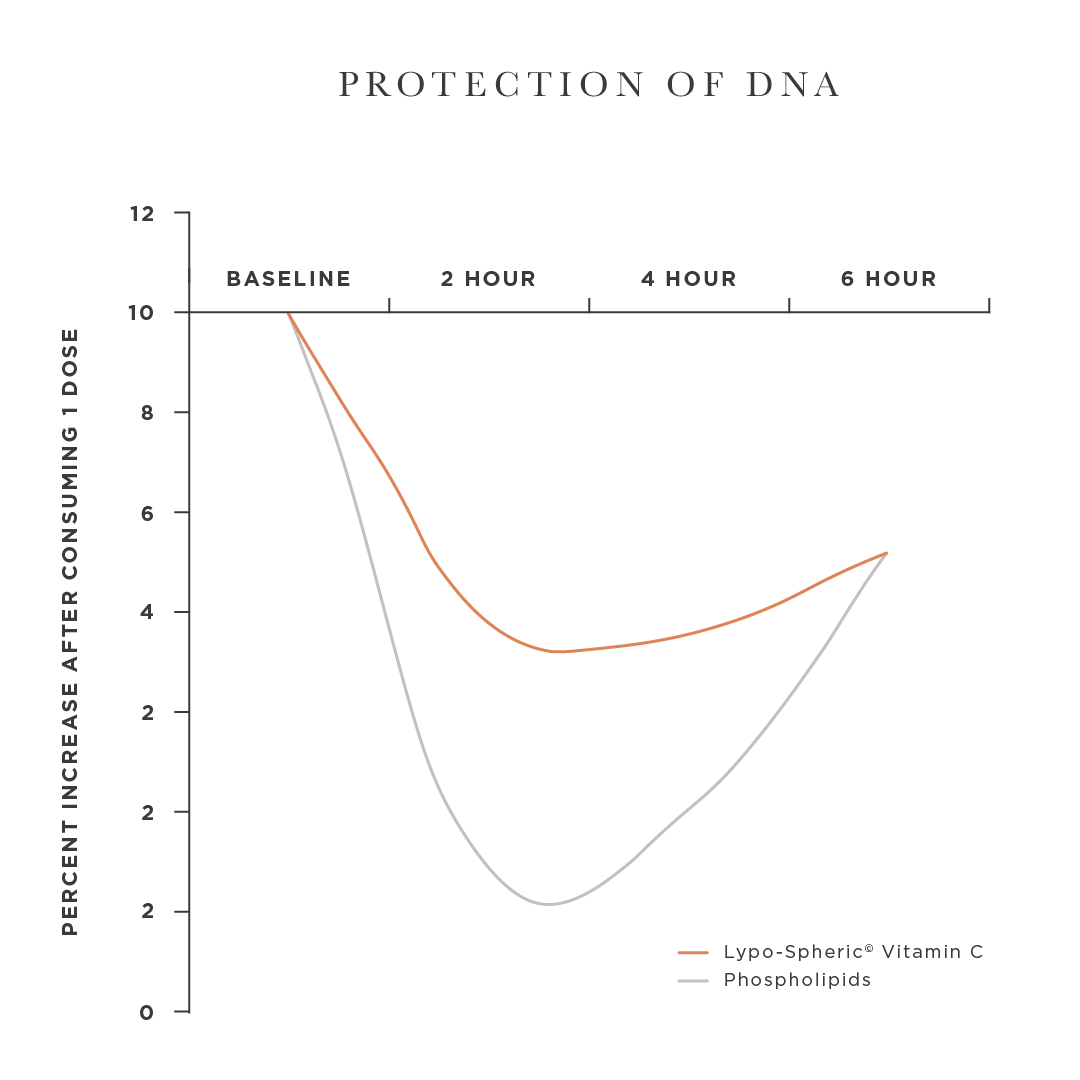 chart showing Lypo-spheric vitamin c helps protect dna