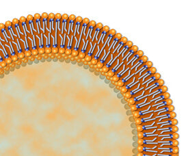 iv vitamin c buy